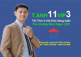 Anh 11 VIP3
